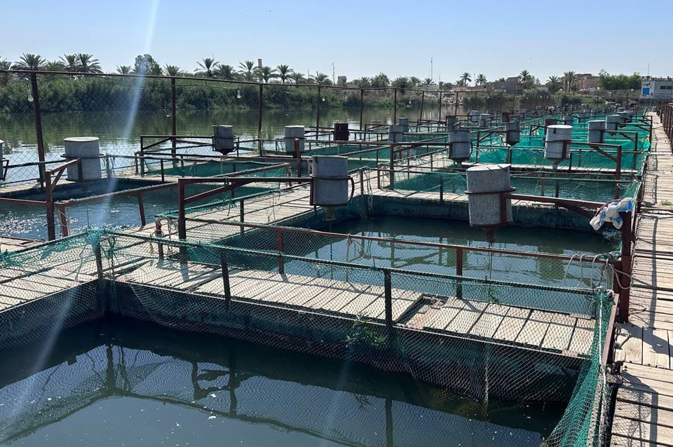 Experts from the Spanish company OX